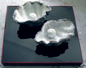Zwillingsmuschel, 2002, Wachs, Holz, Acrylglas ca. 80 x 80 x 44cm - Wolfgang Stiller