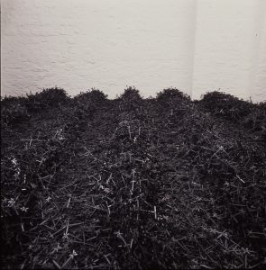 Schüttungen, 1991,Kunststoff variable Größe - Wolfgang Stiller